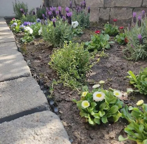 Ruhige 2-zimmer In Zentraler Taunus Lage * Bad Homburg vor der Höhe